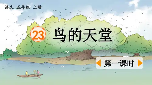 《鸟的天堂》优质课件(第一课时)