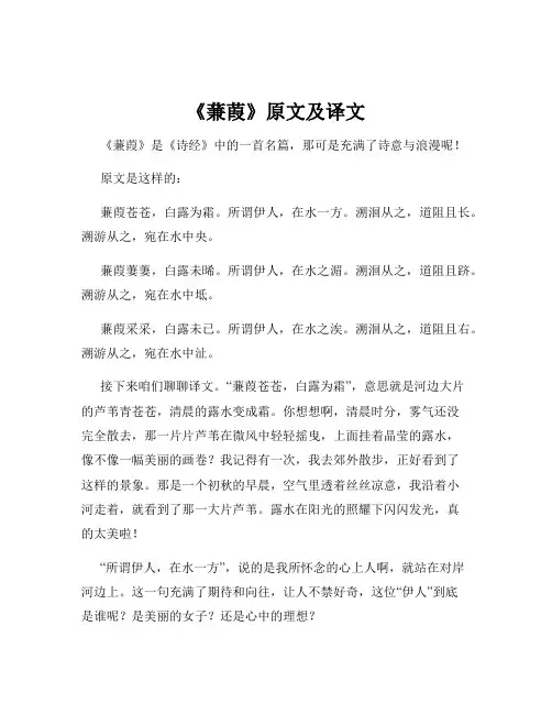 《蒹葭》原文及译文