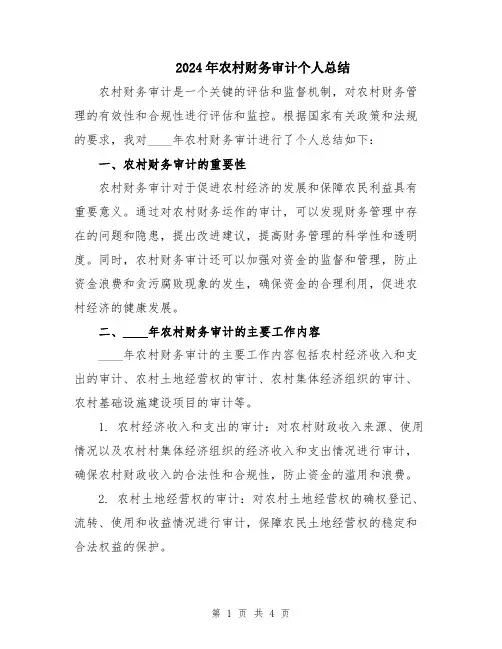 2024年农村财务审计个人总结