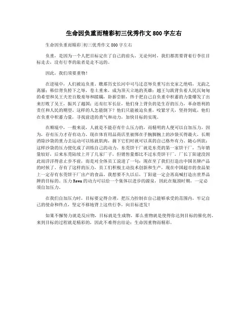 生命因负重而精彩初三优秀作文800字左右