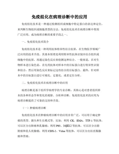 免疫组化在病理诊断中的应用