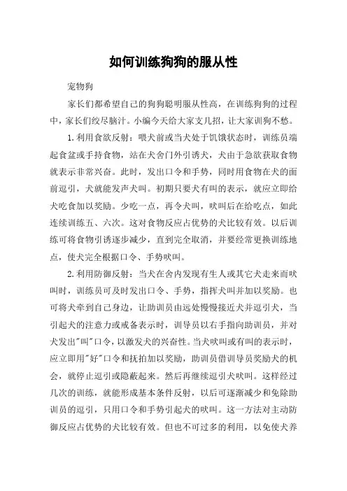 如何训练狗狗的服从性