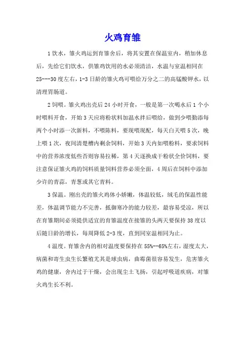 火鸡育雏-养殖技术