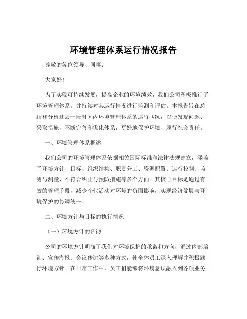 环境管理体系运行情况报告