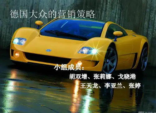德国大众营销策略