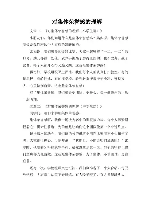 对集体荣誉感的理解