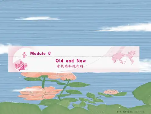 (陕西)(龙门亮剑)2021高三英语一轮课件 Module 6 外研版必修3