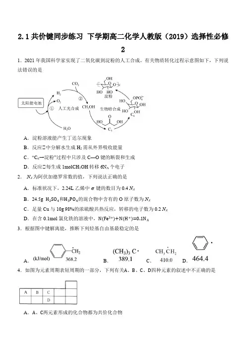 共价键 同步练习 高二下学期化学人教版(2019)选择性必修2