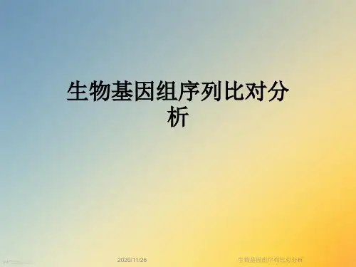 生物基因组序列比对分析