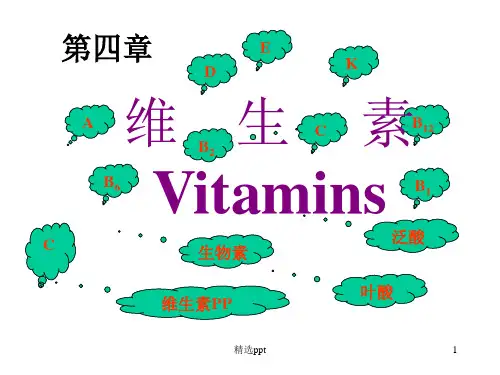 生物化学 维生素ppt课件