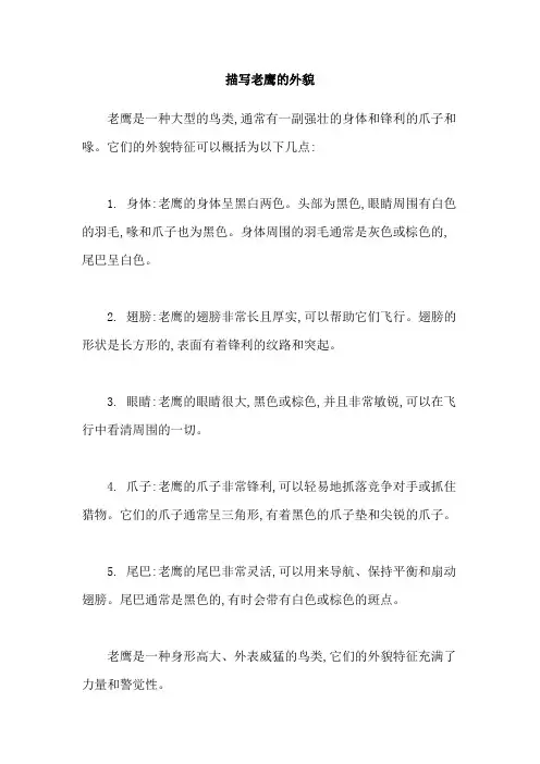 描写老鹰的外貌