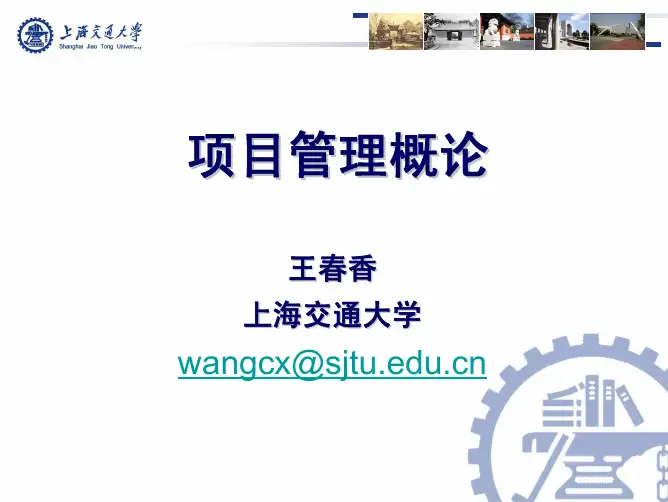 第三章 项目选择和项目群管理