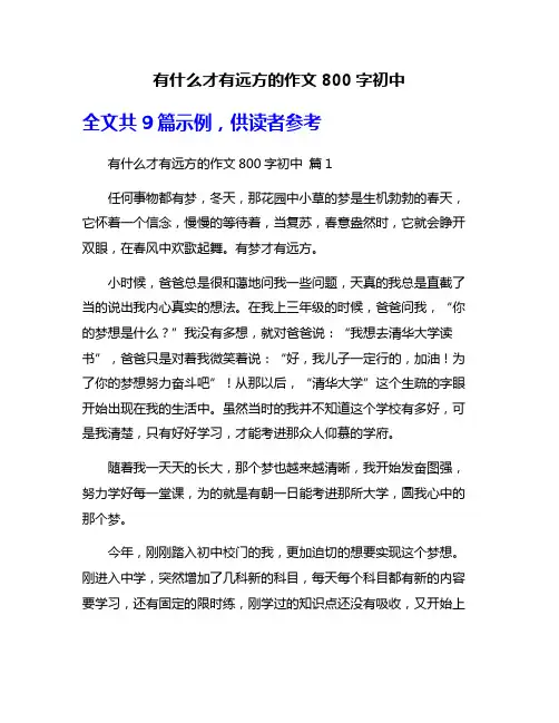 有什么才有远方的作文800字初中
