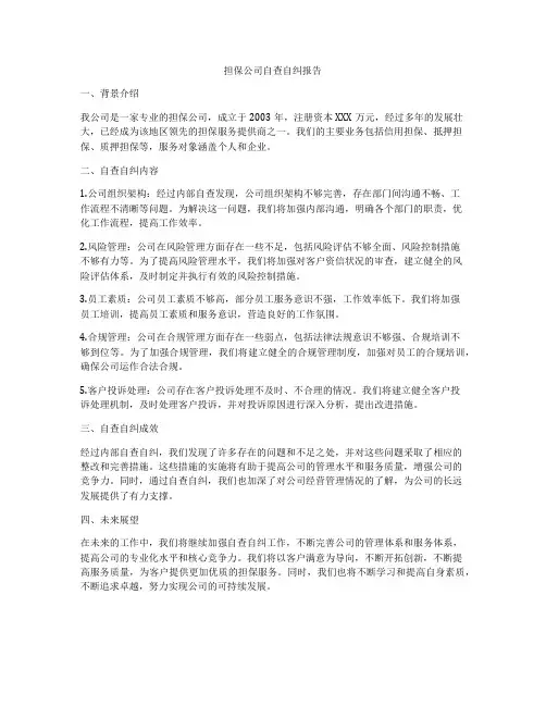 担保公司自查自纠报告