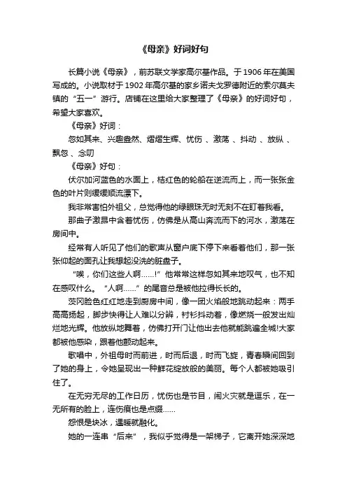 《母亲》好词好句