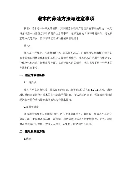 灌木的养殖方法与注意事项
