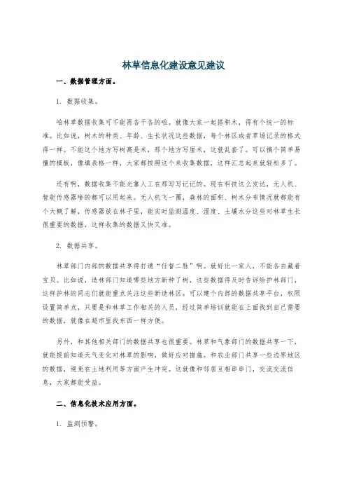 林草信息化建设意见建议