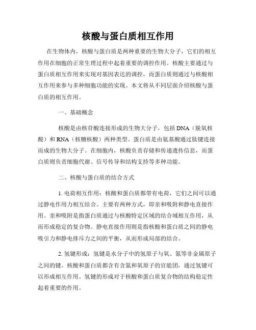 核酸与蛋白质相互作用