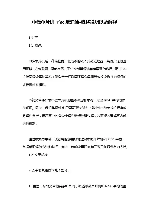 中微单片机 risc反汇编-概述说明以及解释