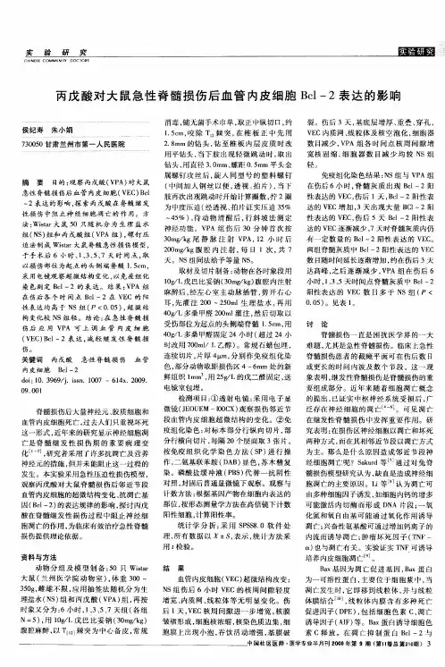 丙戊酸对大鼠急性脊髓损伤后血管内皮细胞Bcl-2表达的影响