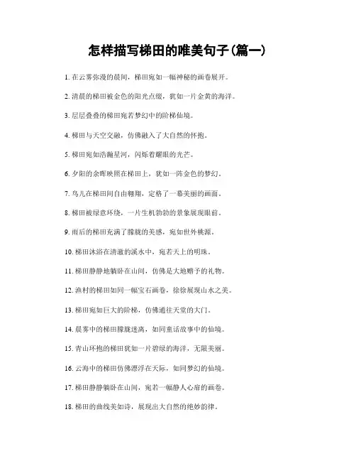 怎样描写梯田的唯美句子(精选两篇)