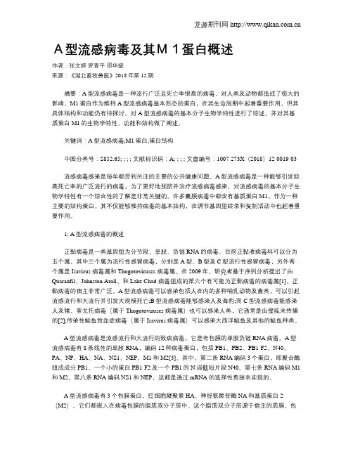 A型流感病毒及其M1蛋白概述