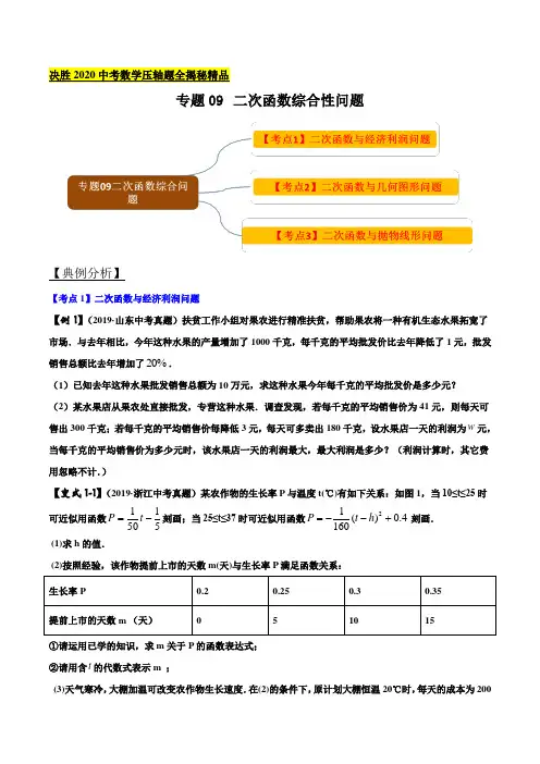 专题09 二次函数的综合性问题(原卷版)
