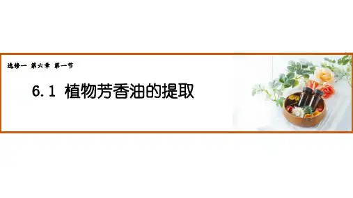 植物芳香油的提取 课件-高中生物选择性必修1