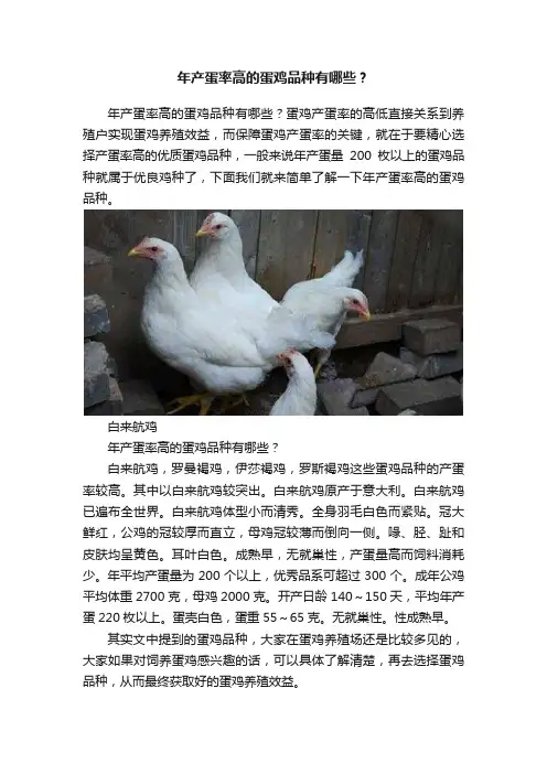 年产蛋率高的蛋鸡品种有哪些？