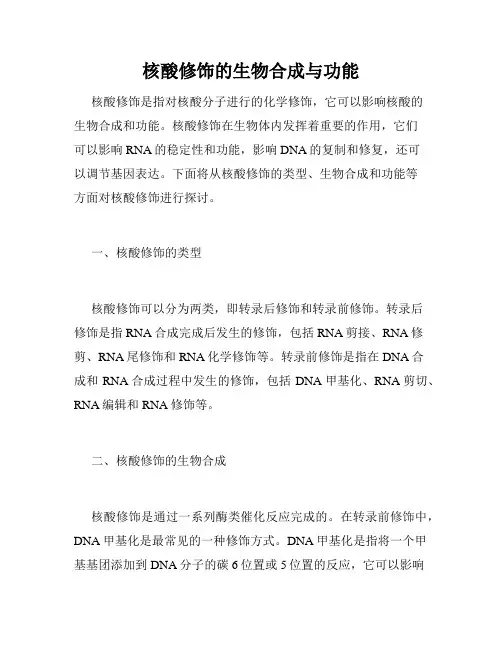 核酸修饰的生物合成与功能