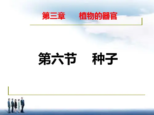 第三章植物的器官-种子