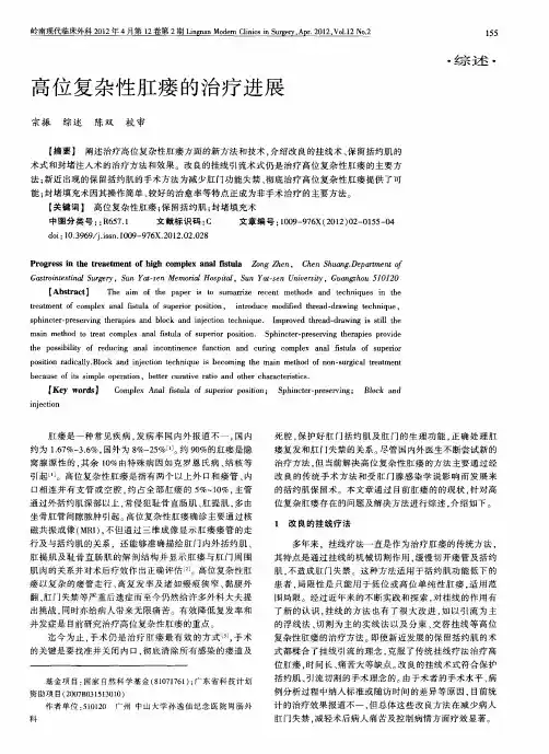 高位复杂性肛瘘的治疗进展