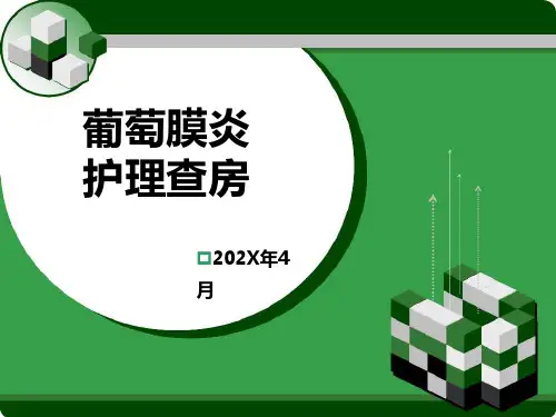 葡萄膜炎护理常规ppt模板