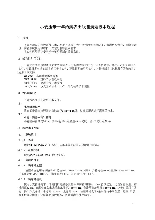 小麦玉米一年两熟农田浅埋滴灌技术规程