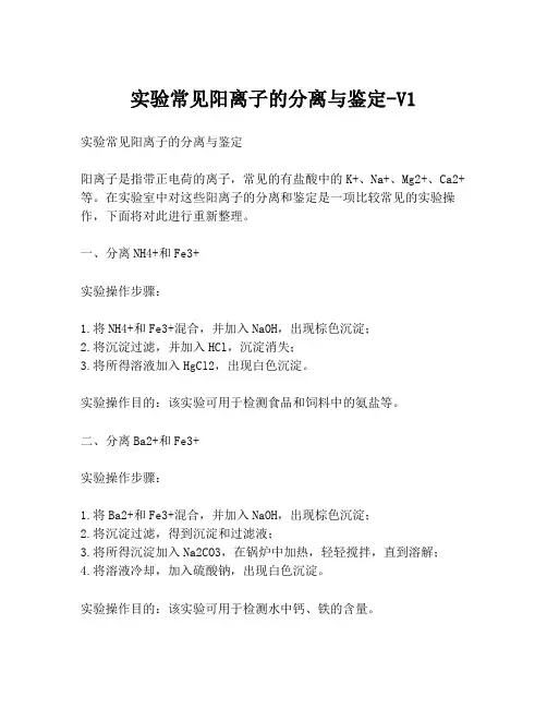 实验常见阳离子的分离与鉴定-V1