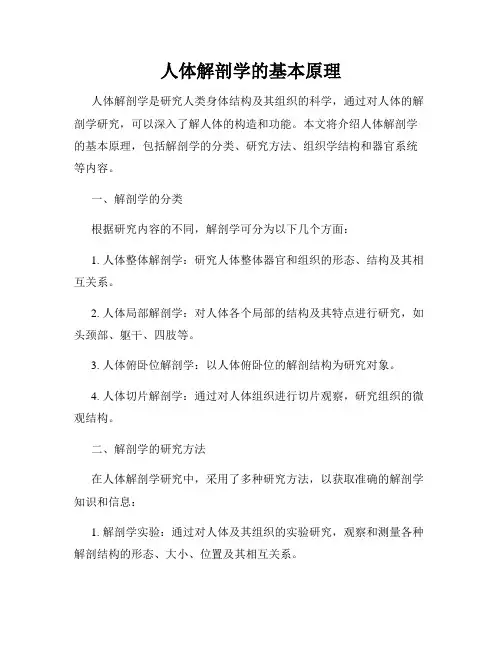 人体解剖学的基本原理