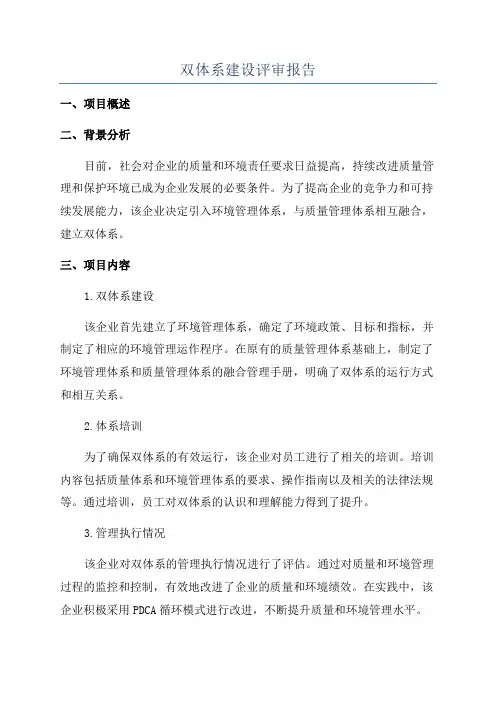 双体系建设评审报告