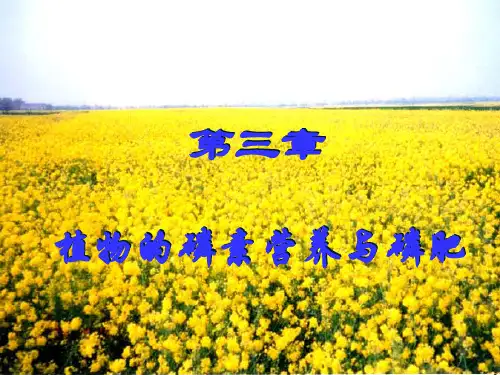 植物的磷素营养与磷肥