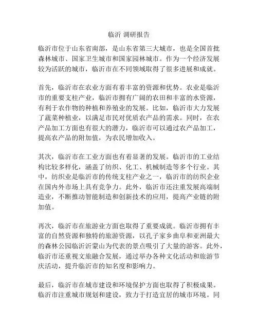 临沂 调研报告