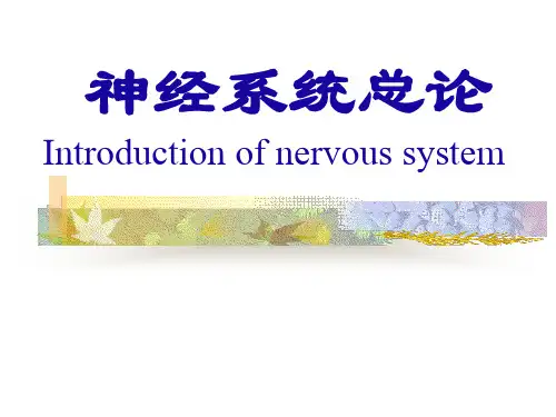人体解剖生理学神经系总论