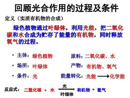 第三节植物光合作用的实质课件苏教版生物七年级上册