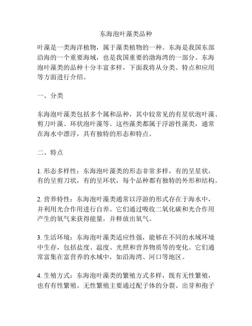 东海泡叶藻类品种