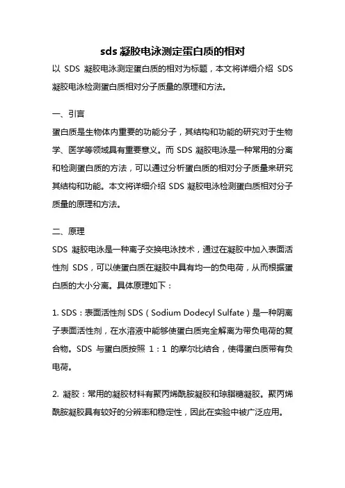 sds凝胶电泳测定蛋白质的相对