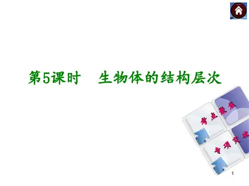 生物体的结构层次(共26张PPT)