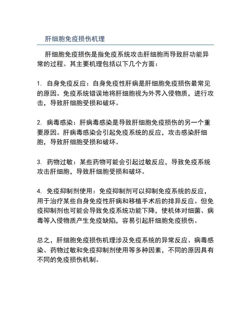 肝细胞免疫损伤机理
