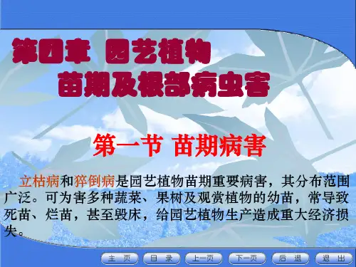第四章园艺植物苗期及根部病虫害