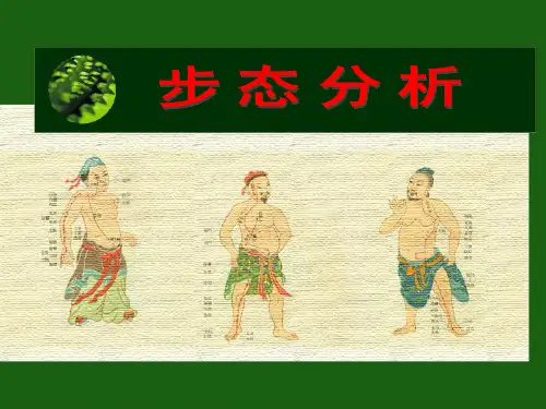 步态分析.