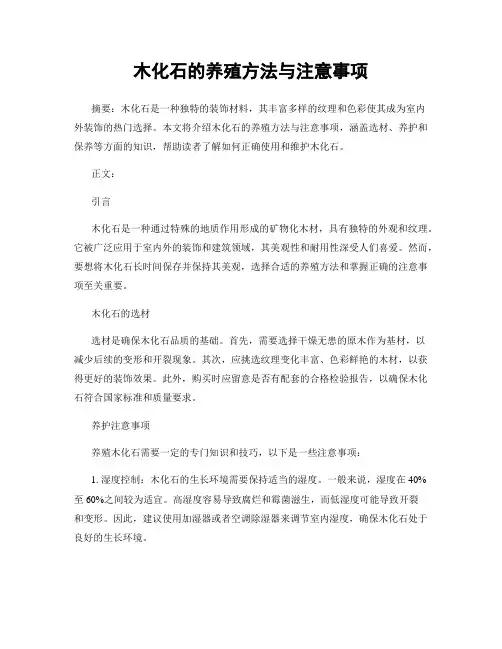 木化石的养殖方法与注意事项