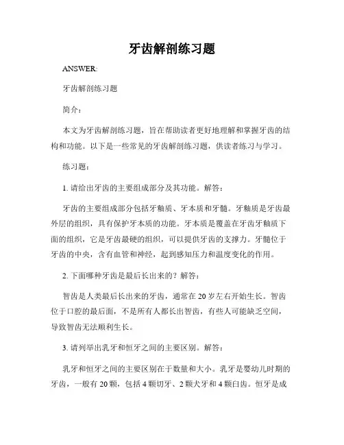 牙齿解剖练习题