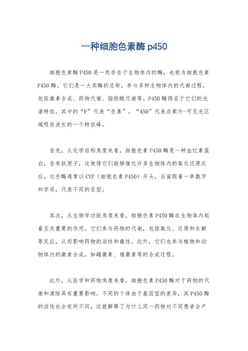 一种细胞色素酶p450